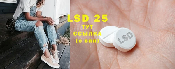 стаф Семилуки