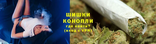 spice Бородино
