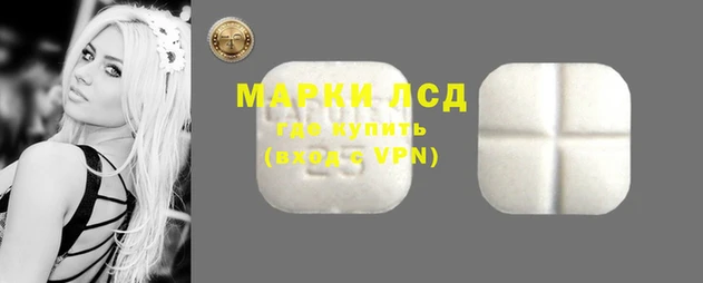 spice Бородино
