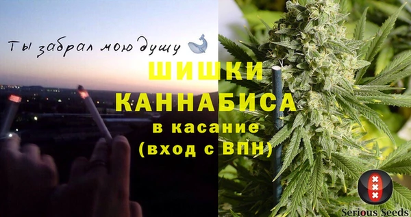 стаф Семилуки