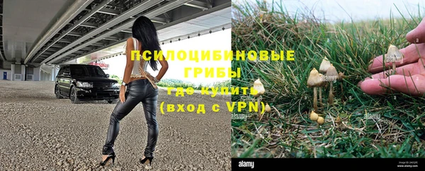 spice Бородино