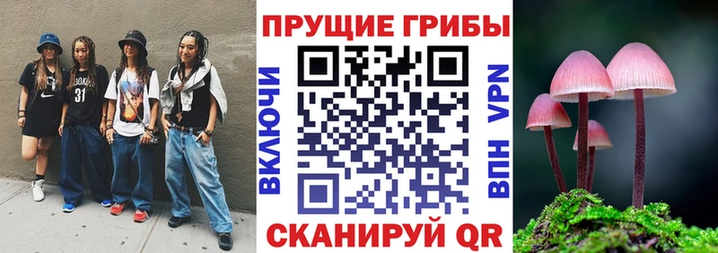 Галлюциногенные грибы Cubensis  Вилючинск 